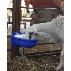 Otomatik Koyun Suluğu