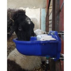 Erinox 1. Kalite Otomatik Koyun Suluğu | Modernciftlik