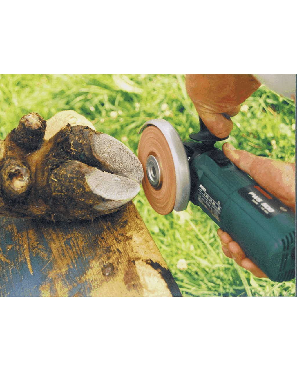 Orjinal Philipsen Tırnak Kesme Diski Profi 115 mm