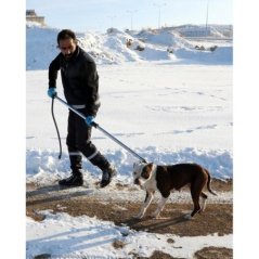 Farmena - Kaliteli Köpek Yakalama Aleti 120 cm | Modernciftlik