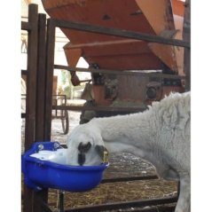 Erinox 1. Kalite Koyun Suluğu | Modernciftlik