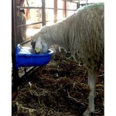 Erinox 1. Kalite Koyun Suluğu | Modernciftlik