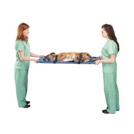Farmena - Kaliteli Köpek Taşıma Sedyesi | Modernciftlik