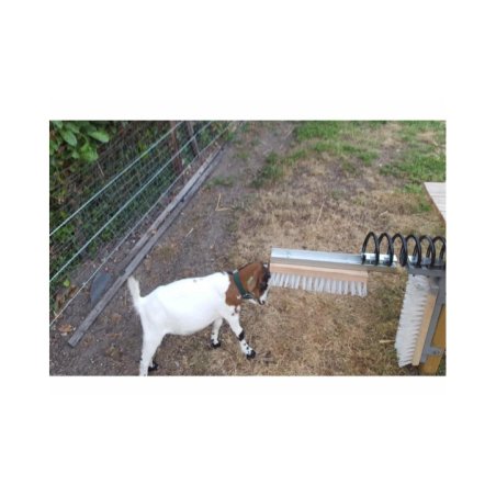 Sabit Kaşıma Fırçası Texas Model