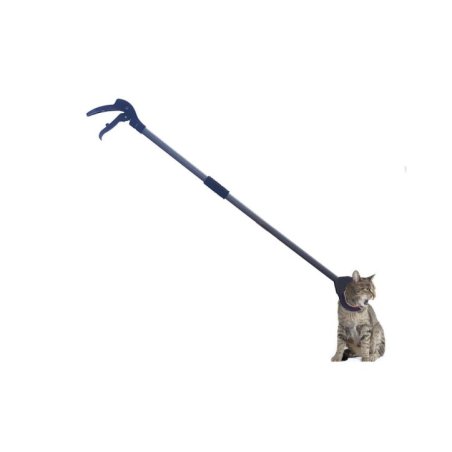 Kedi Yakalama Kıskacı