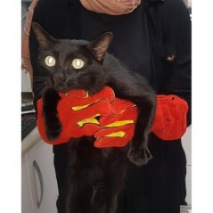 Kedi Yakalama Eldiveni 40 cm