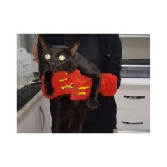 Farmena Kedi Yakalama Eldiveni 40 cm | Modernciftlik