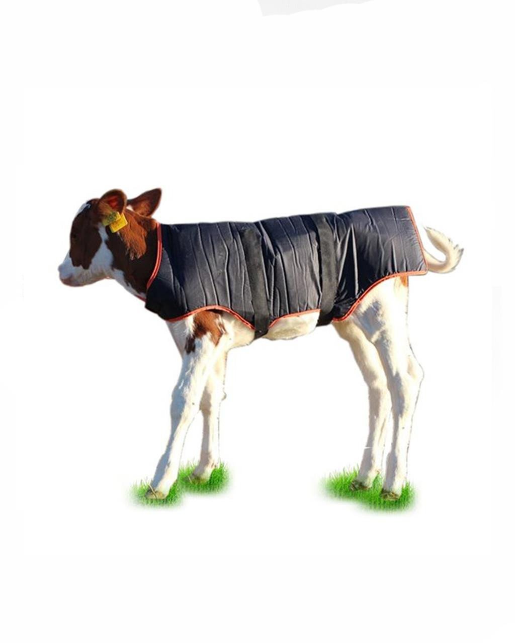 Buzağı Battaniyesi Standart