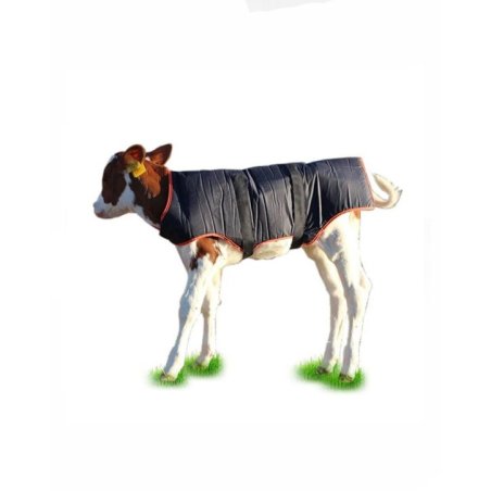 Buzağı Battaniyesi Standart