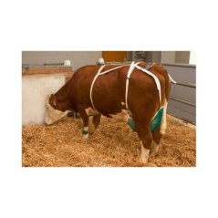 Kerbl Alman Malı Meme Sütyeni | Modernciftlik