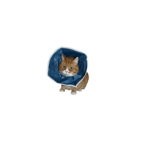 Buster Kedi Yakalığı Soft