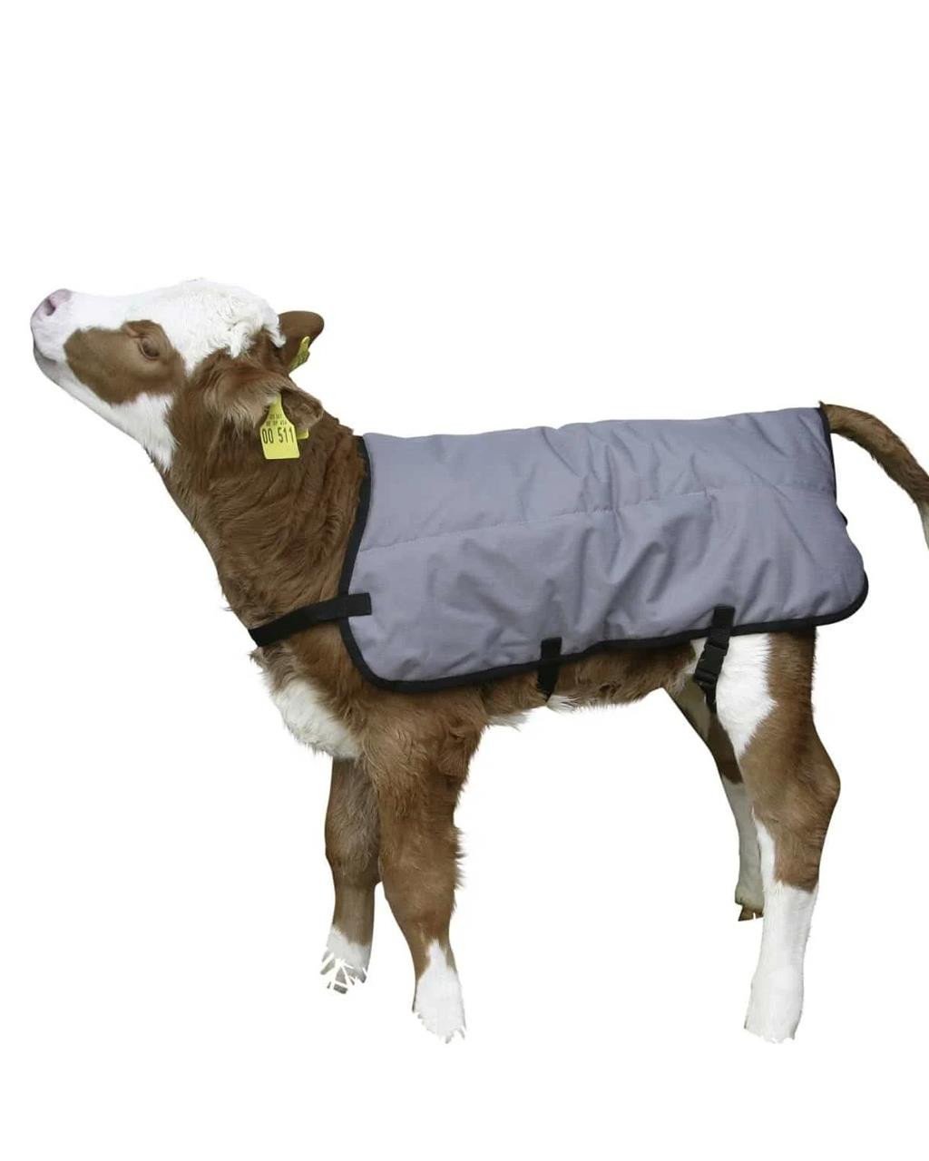 Buzağı Battaniyesi Termal 80 cm