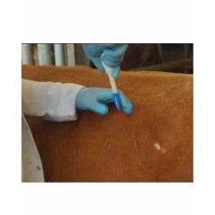 Selvet Rumenotom Şemsiye Trokar 6 Lı | Modernciftlik