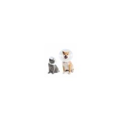 Curavet Elizabeth Köpek Yakalığı. Şeffaf. 20 cm