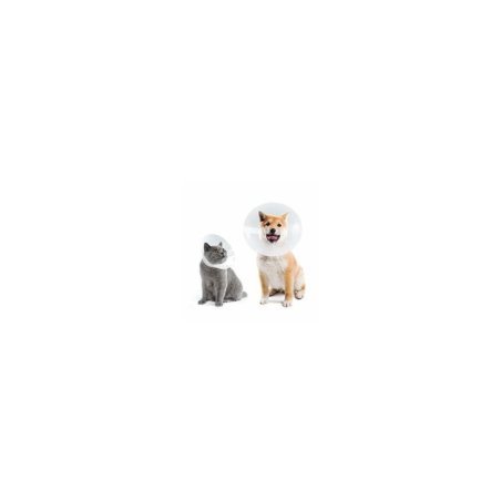 Curavet Elizabeth Köpek Yakalığı. Şeffaf. 20 cm