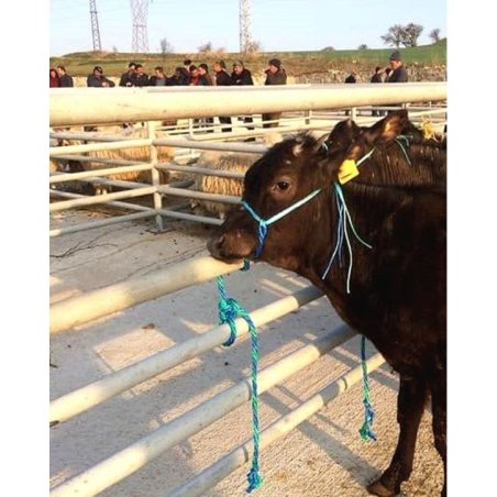 Pratik Boğa Yuları Halat