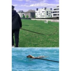 Güvenli Ve Konforlu 5 metre Kedi Ve Köpek Gezdirme Sevk Kayışı