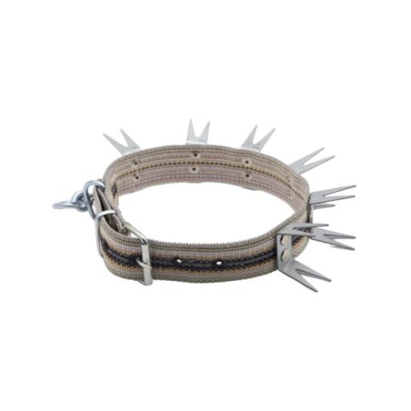 Dokuma Kangal Tasması İki Çivili