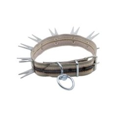 Dokuma Kangal Tasması İki Çivili