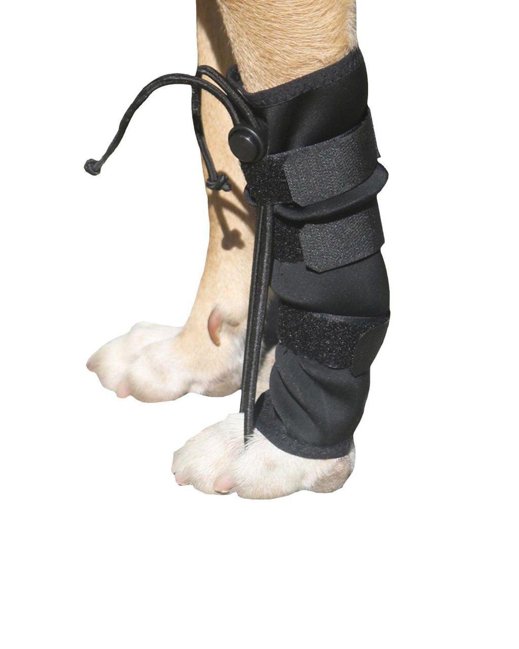 Köpek Ön Ayak Düzleştirici - Small