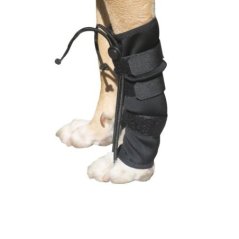 Farmena Köpek Ön Ayak Düzleştirici - Large | Modernciftlik