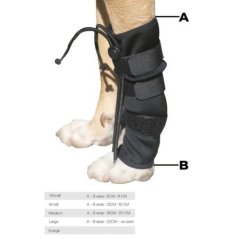 Köpek Ön Ayak Düzleştirici - Large