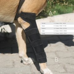 Balen Destekli Ön Ayak Uzun Dirseklik - Small