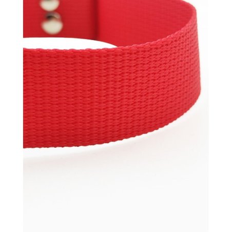 Ayarlanabilir Köpek Tasması Mor