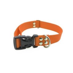 Farmena Ayarlanabilir Köpek Tasması Mor | Modernciftlik