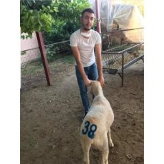 Farmena Ahşap Saplı Küçükbaş Kuzu Oğlak Numara Damga Seti
