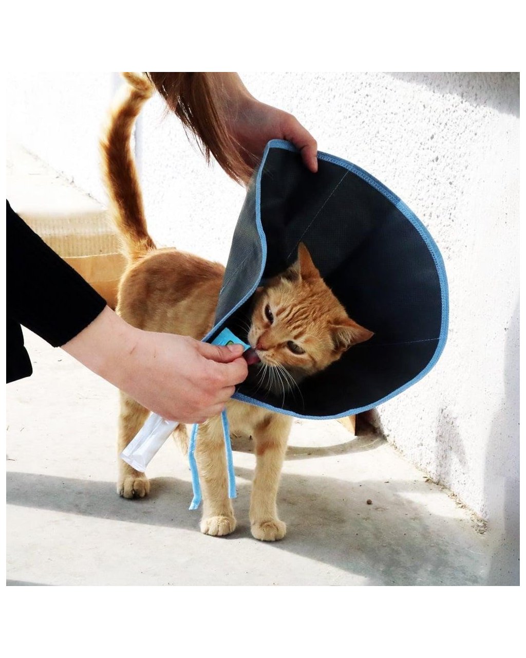 Kedi için Ekonomik Kumaş Yakalık 18 cm