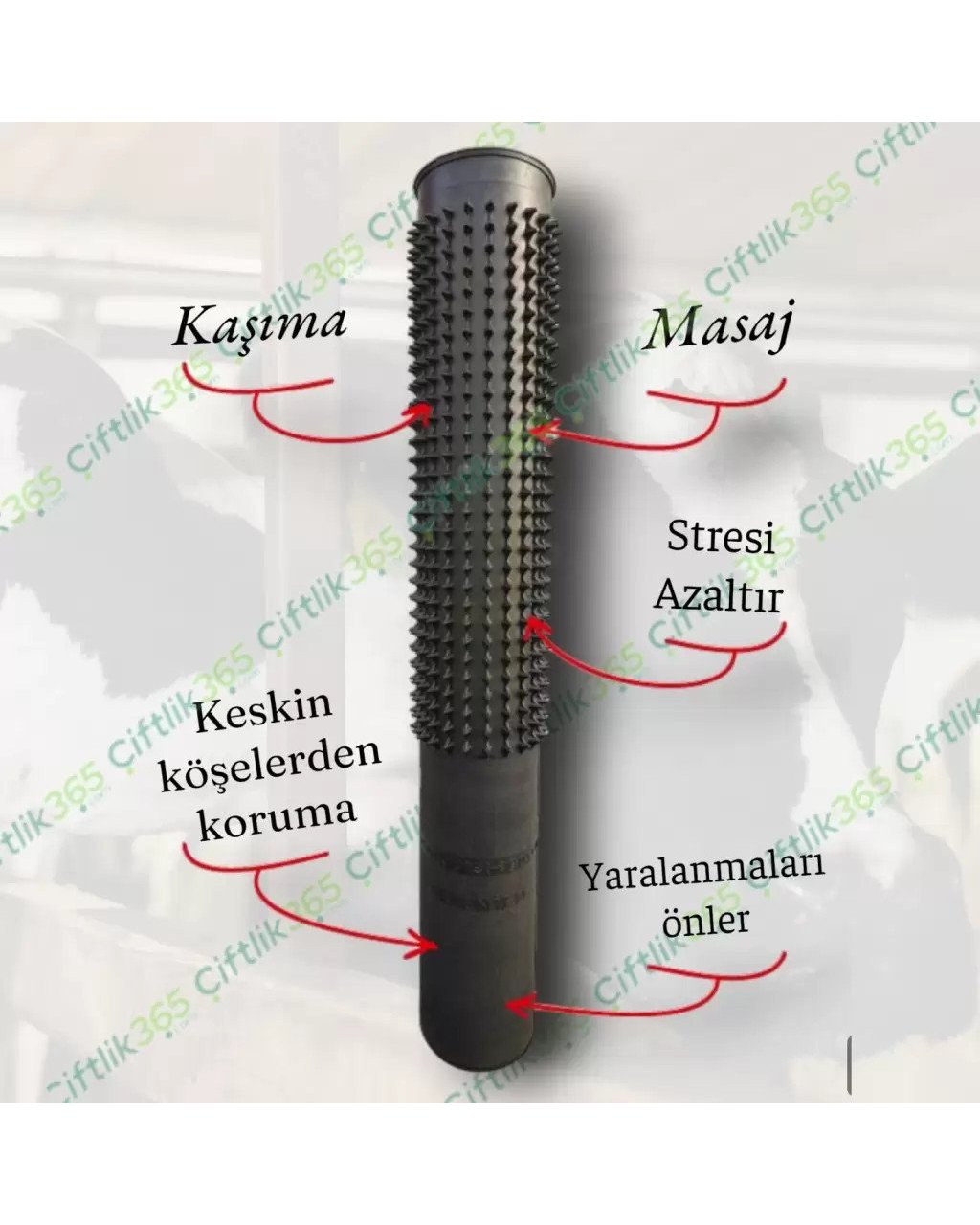 Kauçuk Sığır Kaşıma Aleti 150 cm Kauçuk Sığır Kaşıma Aleti 150 cm