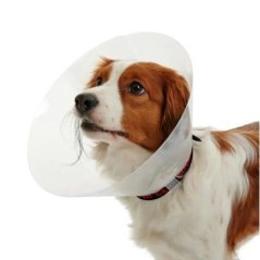 Buster Elizabeth Köpek Yakalığı Şeffaf 35 cm (10'Lu Paket)