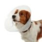 Buster Elizabeth Köpek Yakalığı Transparan 35 cm (10'lu Paket)