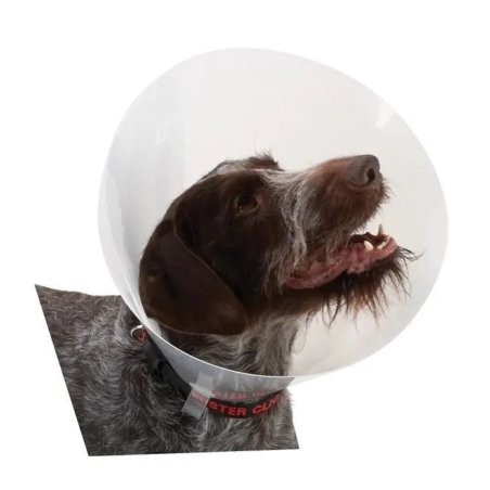 Buster Elizabeth Köpek Yakalığı Şeffaf 30 cm (10'Lu Paket)
