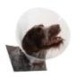 Buster Elizabeth Köpek Yakalığı Transparan 20 cm (10'lu Paket)