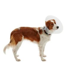 Buster Elizabeth Köpek Yakalığı Şeffaf 20 cm (10'Lu Paket)