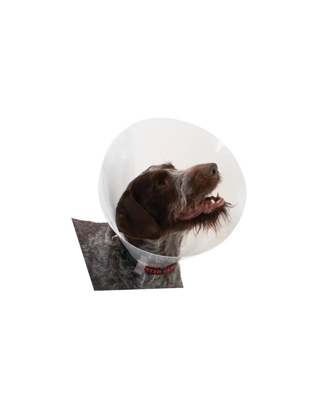 Buster Elizabeth Köpek Yakalığı Transparan 12,5 cm (10'lu Paket)