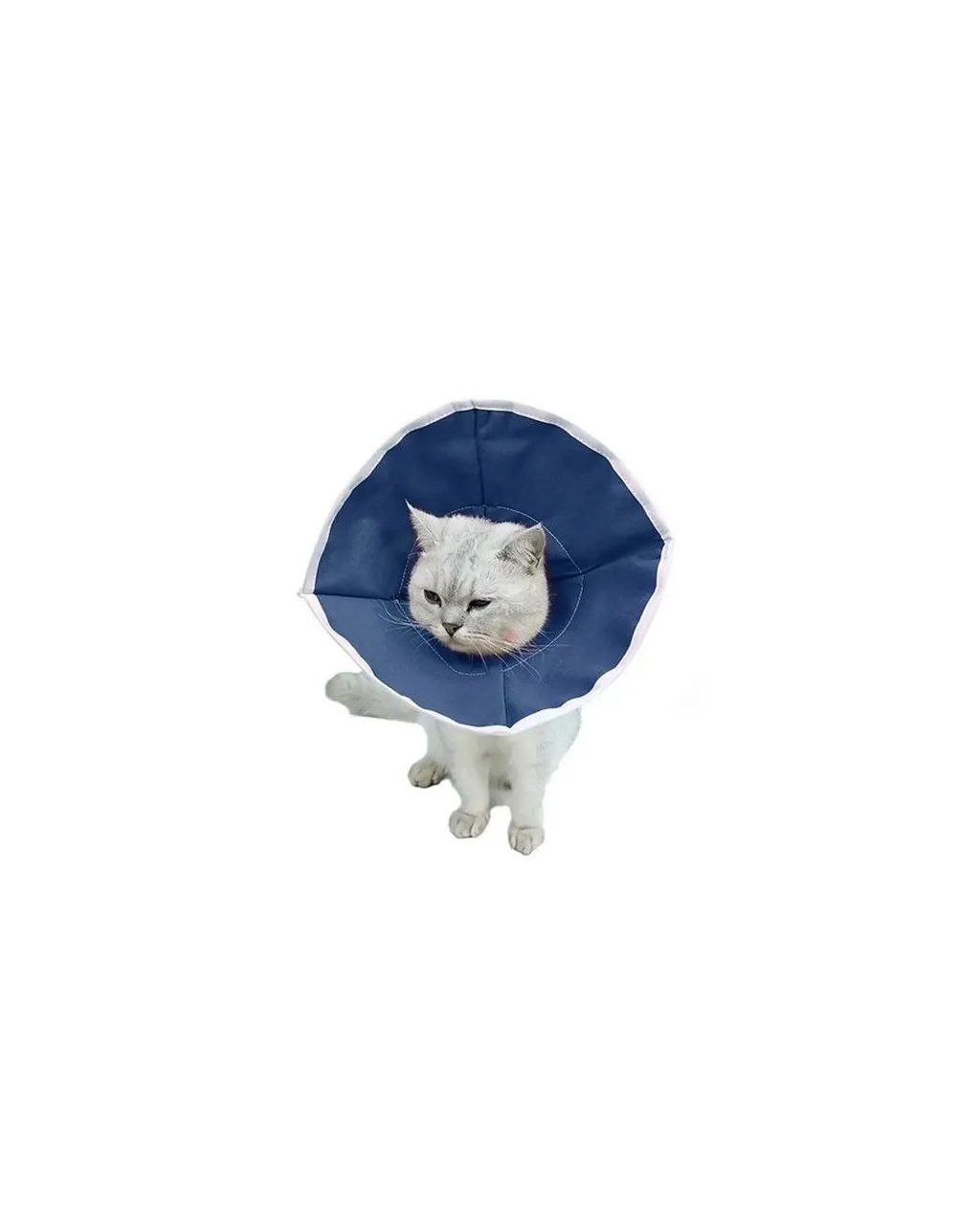 Buster Kedi Yakalığı Soft (10'lu Paket )