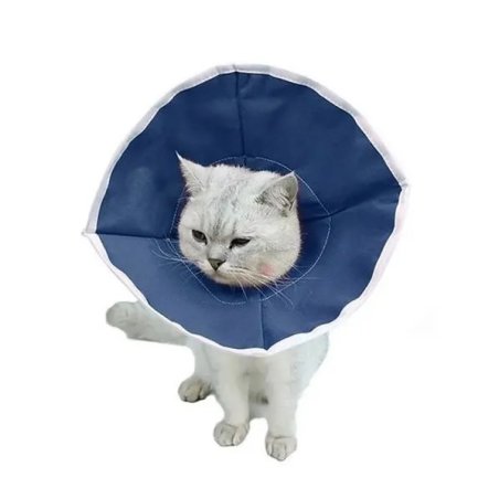 Buster Kedi Yakalığı Soft (10'lu Paket )