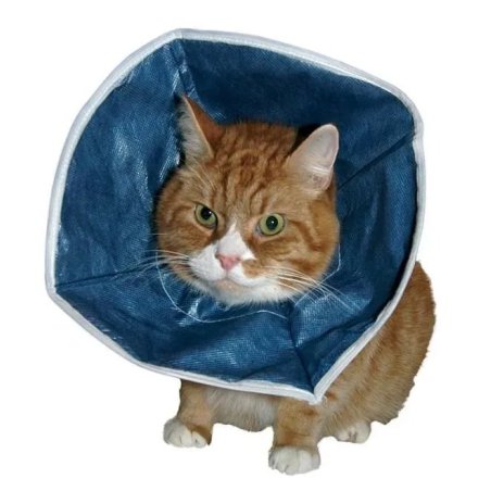 Buster Kedi Yakalığı Soft (10'lu Paket )