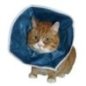 Buster Kedi Yakalığı Soft (10'lu Paket )