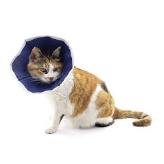 Kruuse Danimarka Malı Buster Kedi Yakalığı Soft (10'Lu Paket )
