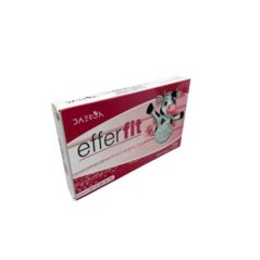 Efervit Efervesan Tablet | Hayvanlar İçin Elektrolit ve Vitamin Desteği 4x50 g