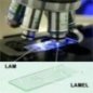 Lam Düz 50'li Paket