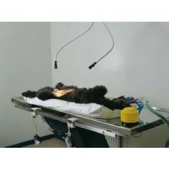 Buster Vet. Vakumlu Operasyon Yatağı 50 x 100 cm