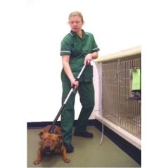 Köpek Yakalama Aleti 100 cm