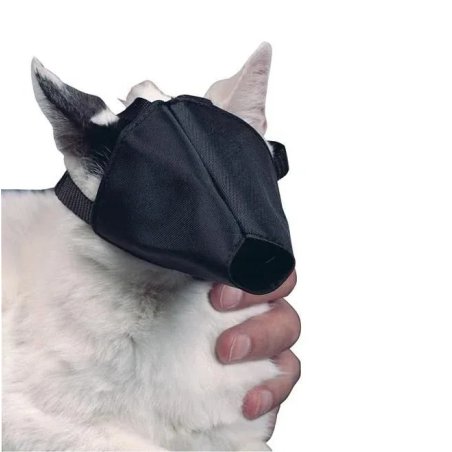 Buster Kedi Ağızlığı