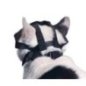 Buster Kedi Ağızlığı Buster Kedi Ağızlığı