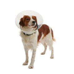 Buster Elizabeth Köpek Yakalık Seti – 20’li Karışık Set